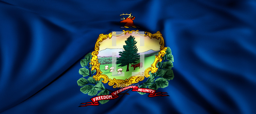 state flag of Vermont 