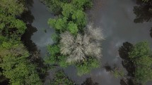 aerial view over trees in a lake 