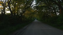Driving POV down a country road with overhanging trees