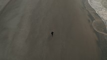 aerial view over a man running on a beach 