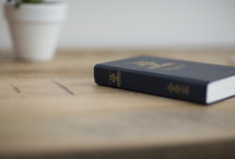 The Book of Mormon on a table.