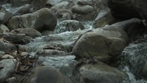 water flowing over rocks in a brook 