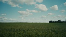 Scenic rural landscape in Latvia