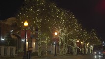 Beautiful Cute Colorful Christmas Lights Tree on The Street