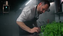 Chef Working Behind A Herb Plant