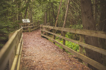 boardwalk through a forest 