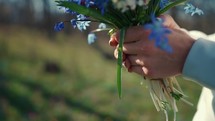 Female hands holding bouquet of spring blue, yellow flowers on nature. Spring flowers. Small bouquet blue muscari.