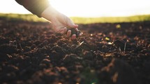 Farmer hand scooping dirt on a field at sunset. Man grabbing the soil dirt from the ground. Close up of male hands touching dry ground in an agricultural field. Concept of agribusiness.