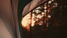 Inside of tent looking out at  dawn: Camp Shoot - 2 of 4
