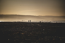 silhouettes of people walking on a  beach at sunset 