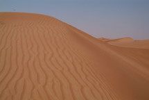 Wind blown ripples in a sand dune in the Desert