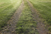 worn path on grass