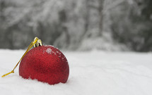 red ornament in snow 
