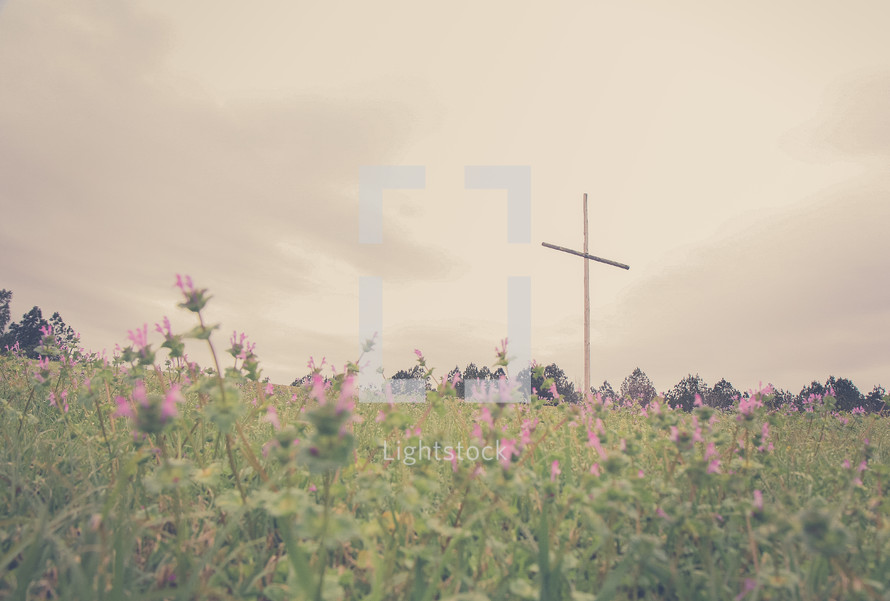 a cross in a field on flowers 