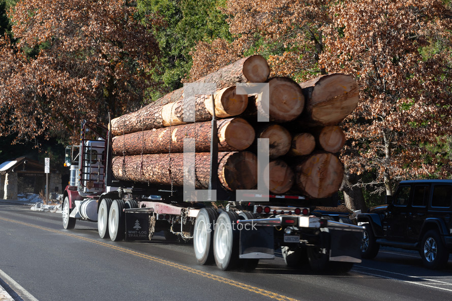 Logging truck on the road 