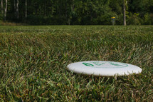 disc golf disc in grass
