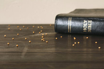 Holy Bible spine and mustard seed 