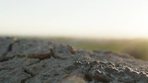 Water Over Cracks In Dry Soil