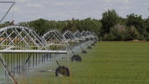 A traveler irrigation system watering a farm field