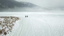 people walking on a frozen shore 