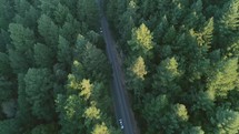 Aerial view of cars driving through a forest road in the Santa Cruz Mountains in California.