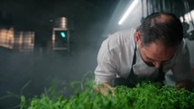 Chef Preparing The Dish Surrounded By Plants 