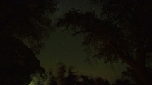 Timelapse of circling stars beyond trees on a crystal clear night