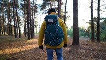 Adventure concept. A young man hiking a pine autumn forest, the sun rays in the background. Male tourist with backpack walking in wild pine forest. Active travel lifestyle. Amazing sunset.
