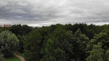 aerial view over a forest and distant city 