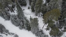Drone view of a snowy mountain forest.