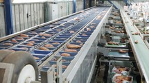 Sorting of and packing sweet potatoes in an agricultural packing facility