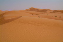 dunes on the Dubai desert