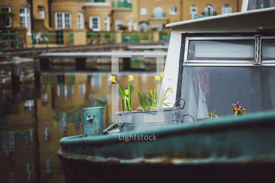 daffodils on a houseboat 