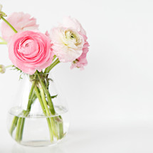 pink flowers in a vase 