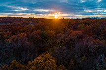 autumn forest at sunset 