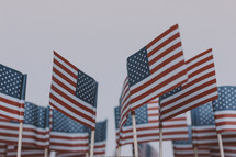 Small American flags on a white background.