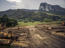 deforestation, dirt road, and mountain landscape 