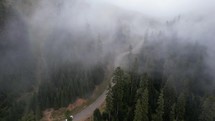 Foggy road in the mountain forest