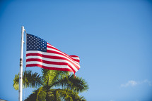 American flag and palm tree 