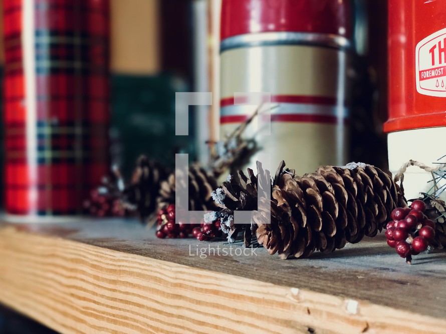 pine cones winter decoration 