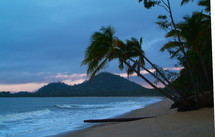 Coconut palm trees on a beach at sunrise