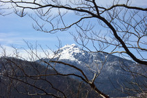 Tree branches in the foreground, A massive idyllic mountain covered in snow in a winter alpine landscape