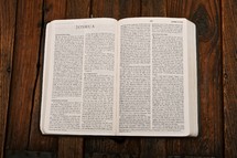 Scripture Titles :: Joshua; open bible on table