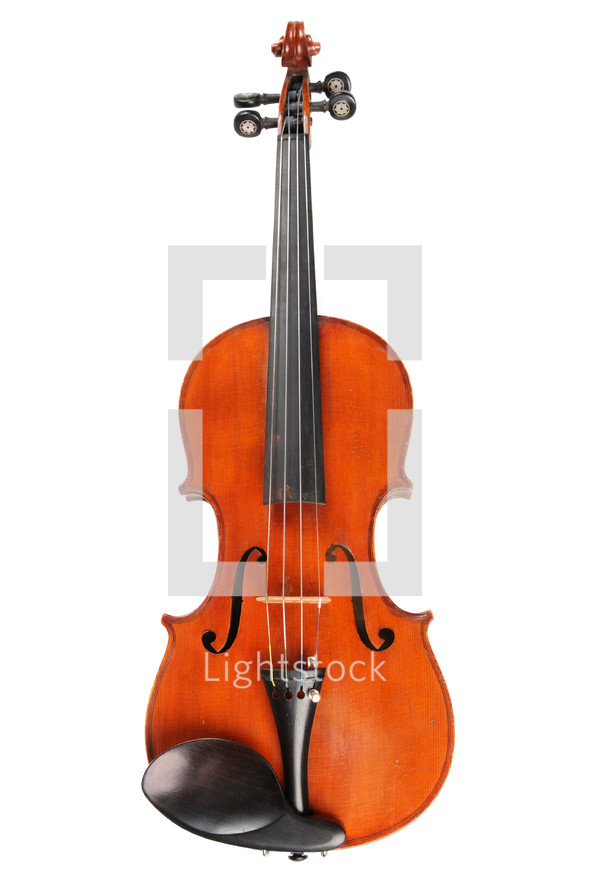 violin, viola, cello,
