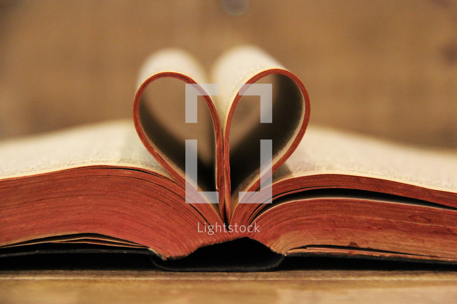 pages of a Bible olden into the shape of a heart