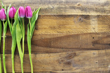 Single stems of purple tulips lined up on a wooden surface.
