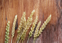 Wheat on wood background 