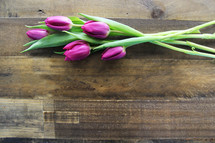 Purple tulips laying on a wooden surface.