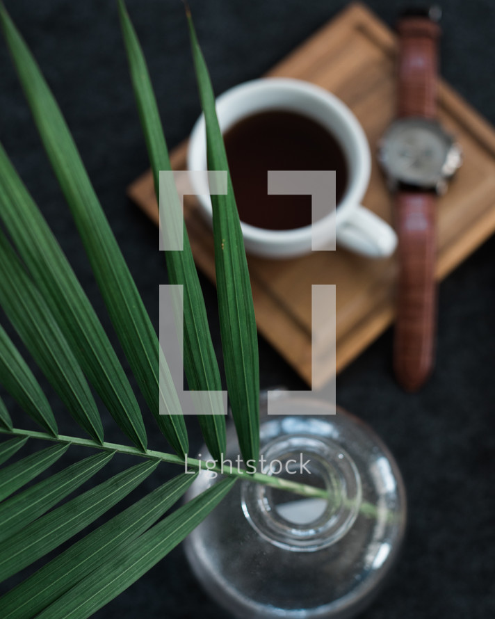 A sprig of leaves in a vase next to a cup of coffee and a wristwatch on wooden board.