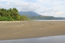 beaches of a tropical island 